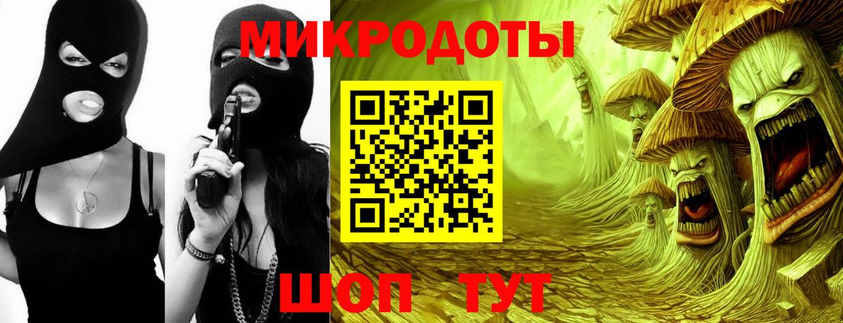 Большой Камень  Псилоцибиновые грибы GOLDEN TEACHER  Вход с VPN  Галлюциногенные грибы ЛСД 